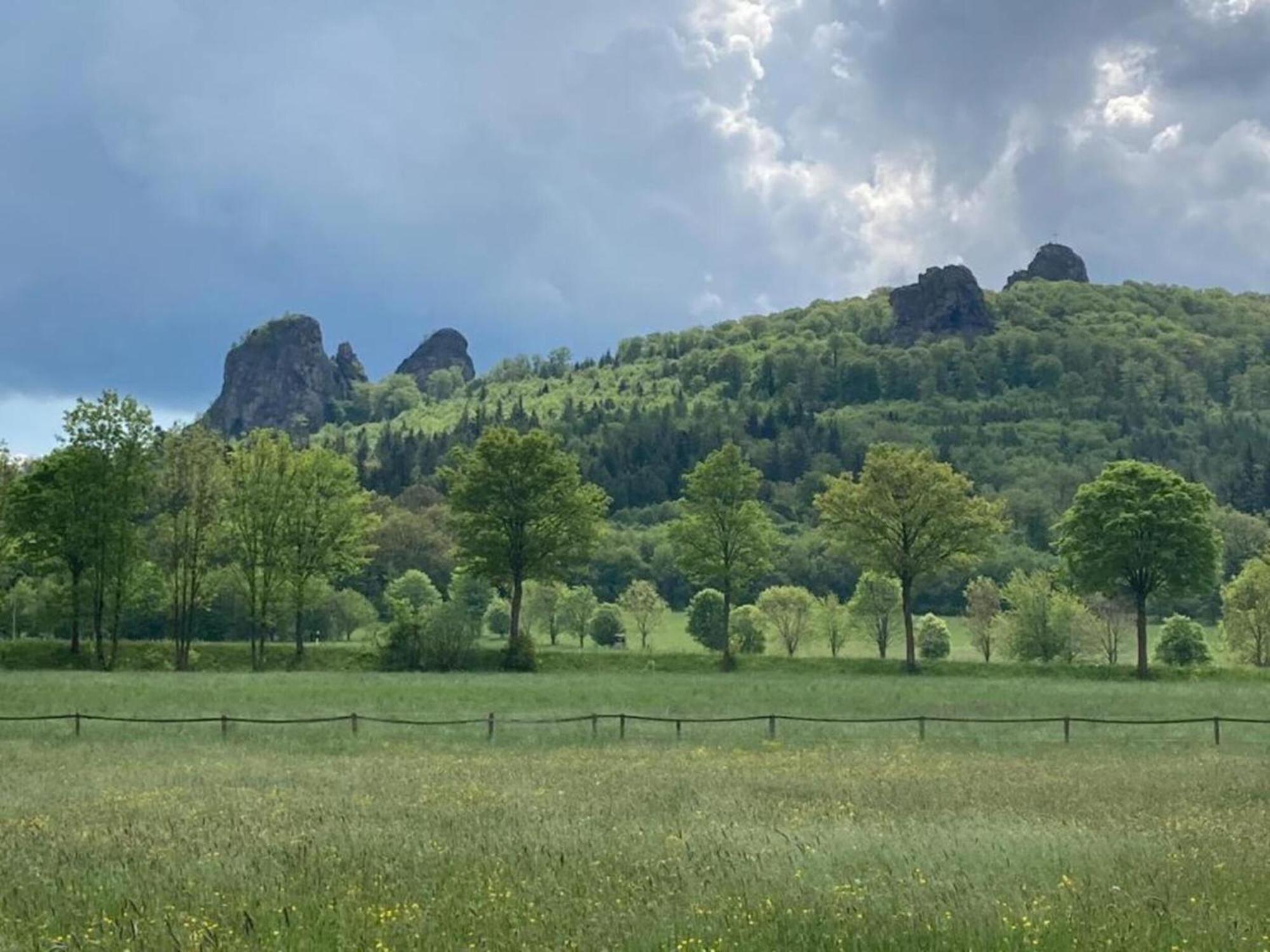 Cozy Holiday Home With Wifi In Hochsauerland Elpe Luaran gambar